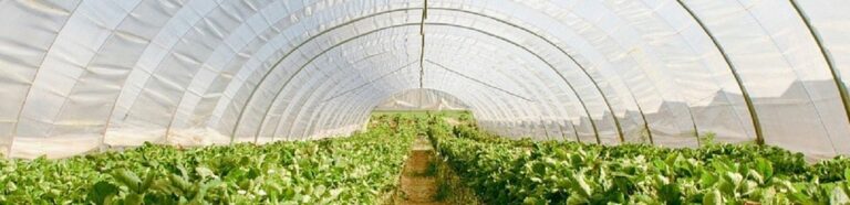 Ricerca produttori di materiali per tende riscaldanti