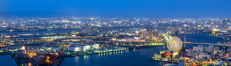 Digital mission in Japan 2024
