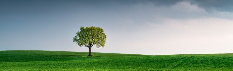 Call “clean environment and zero pollution”