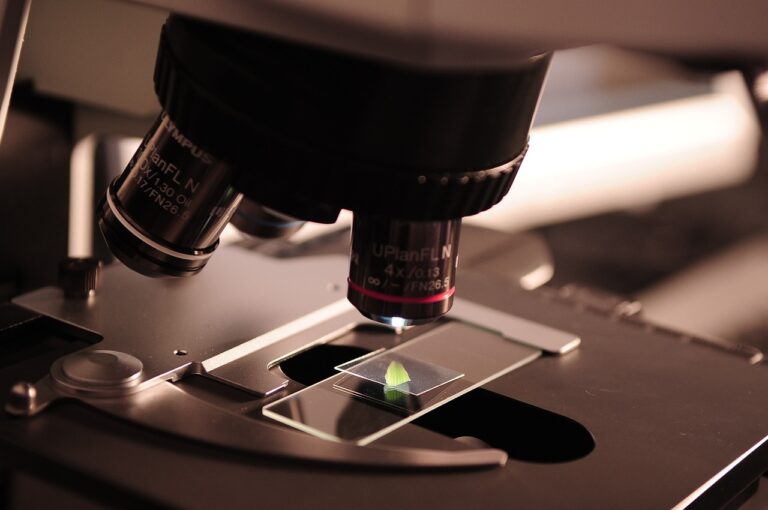 Call NANOTECMEC