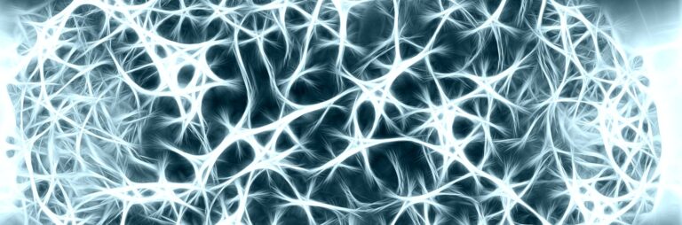 Bando a cascata sulle neuroscienze