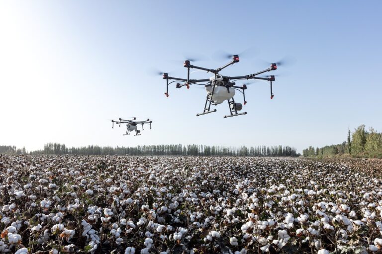 Agritech: nuovo bando PNRR