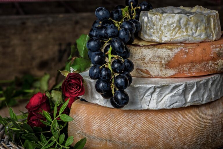 Formaggio Brie e Camembert: ricerca di fornitori