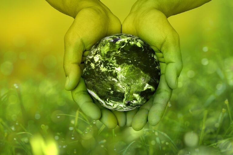 Biodiversity and ecosystem services: nuova call Horizon Europe