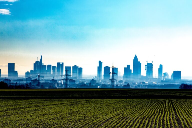 Eurocluster SUAVE: nuova call sull’agricoltura urbana