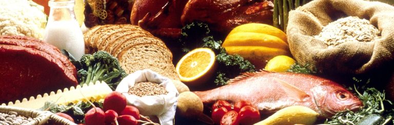 METROFOOD IT: open call