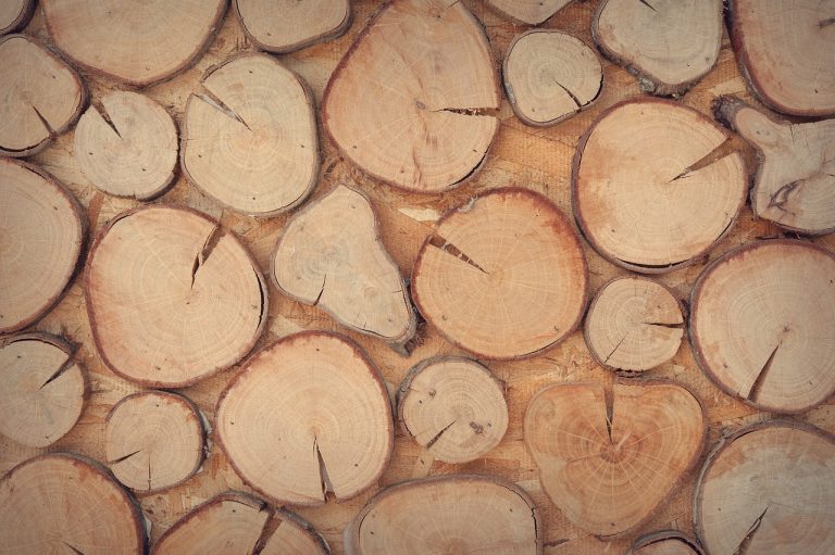 Scatole di legno: ricerca fornitori
