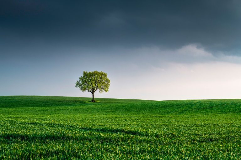 Cambiamenti climatici: call Horizon Europe