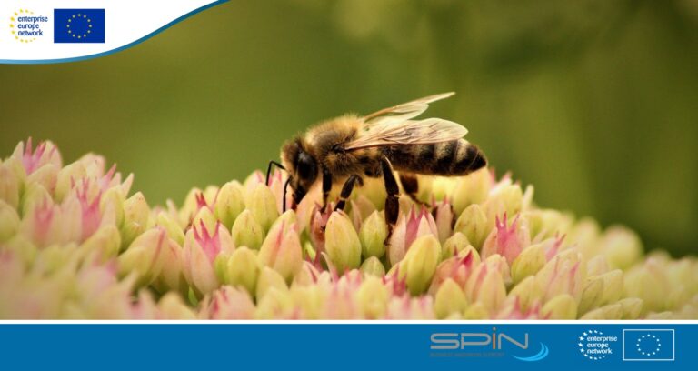 BiodivConnect 2025: call attiva